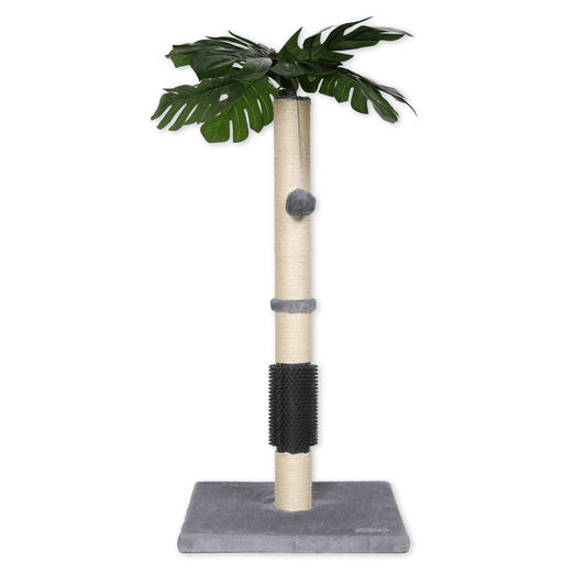 Max Mice  Cat Scratching Post, 80cm Kitten Scratching Post with Premium Sisal Rope, Cute Cat Tree with Dangling and Spring Ball Toys for Indoor Small Cats(Monstera)