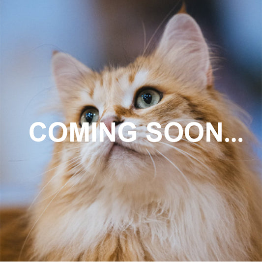 Cat Supplies COMING SOON...