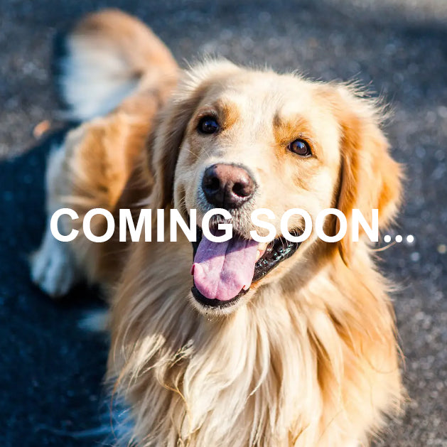 Dog Supplies COMING SOON....