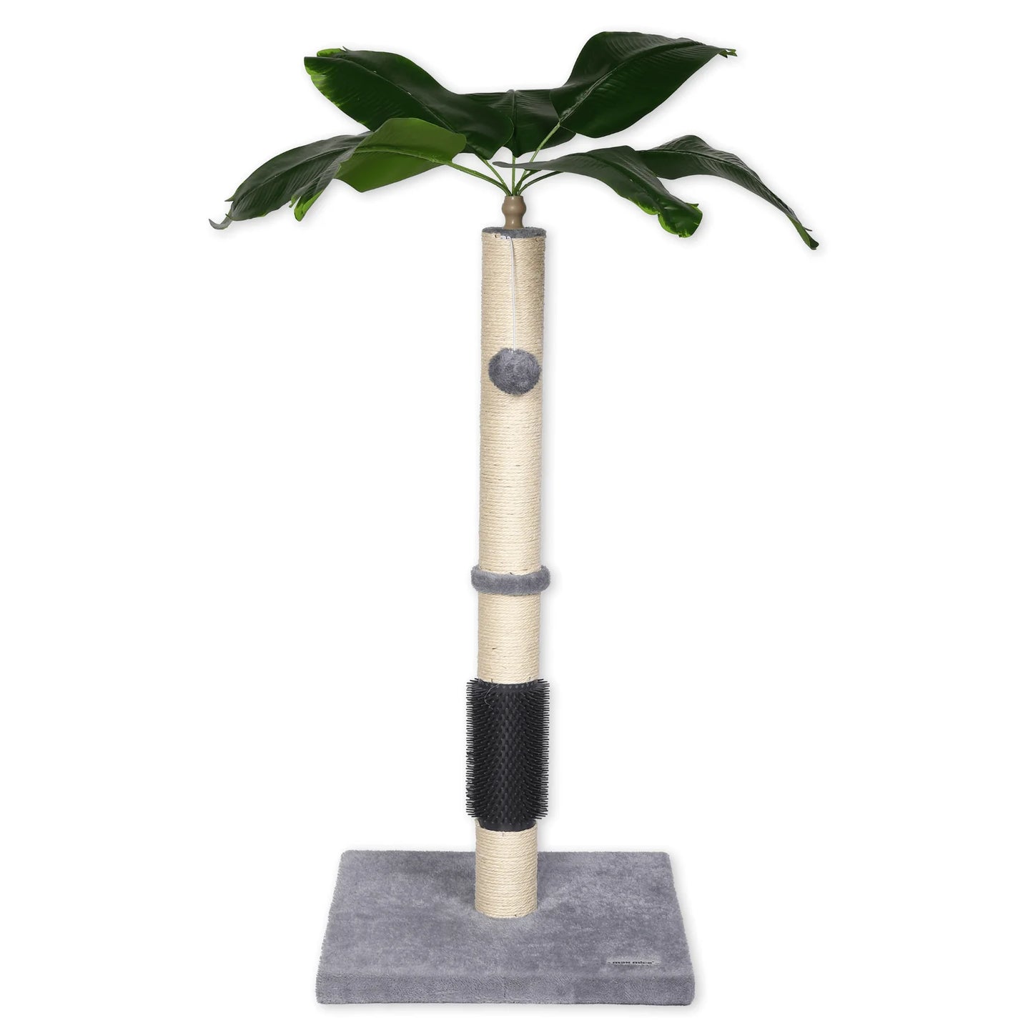 Clearance-- Cat Scratching in shop