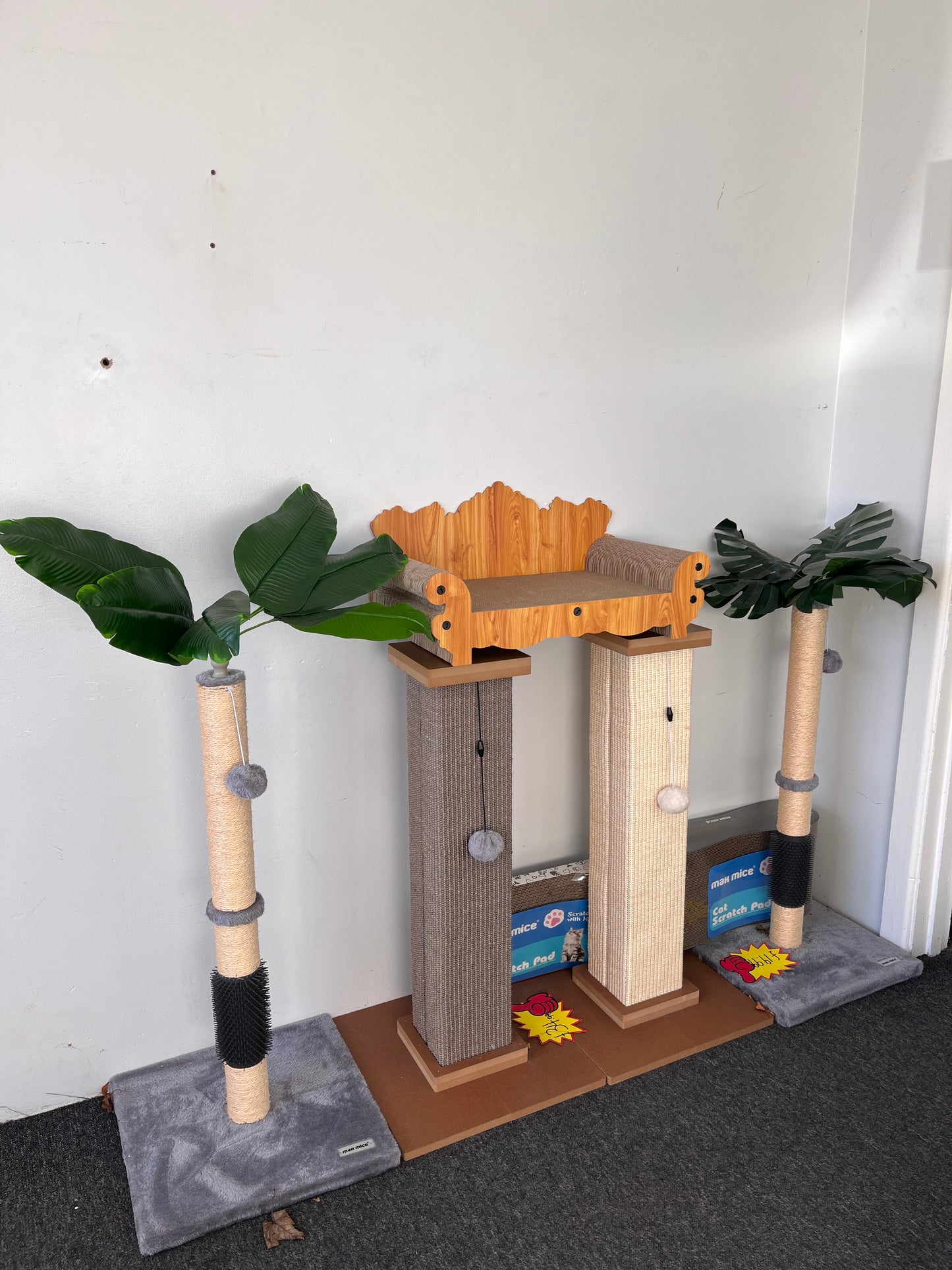 Clearance-- Cat Scratching in shop