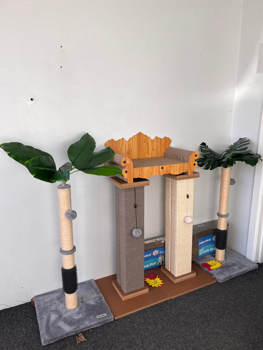 Clearance-- Cat Scratching in shop